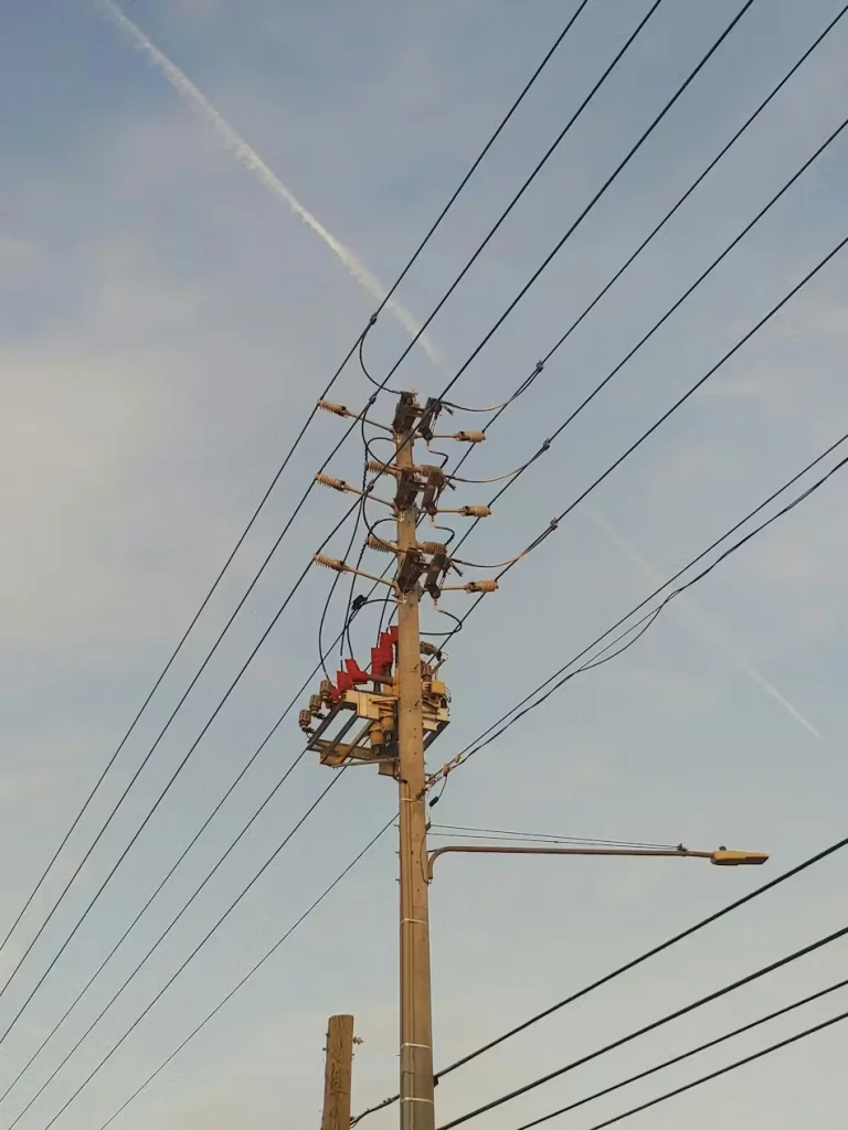 Overhead Distribution Oversight Saves $1.4M For Southeast Electric Utility